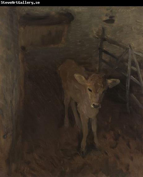 John Singer Sargent A Jersey Calf